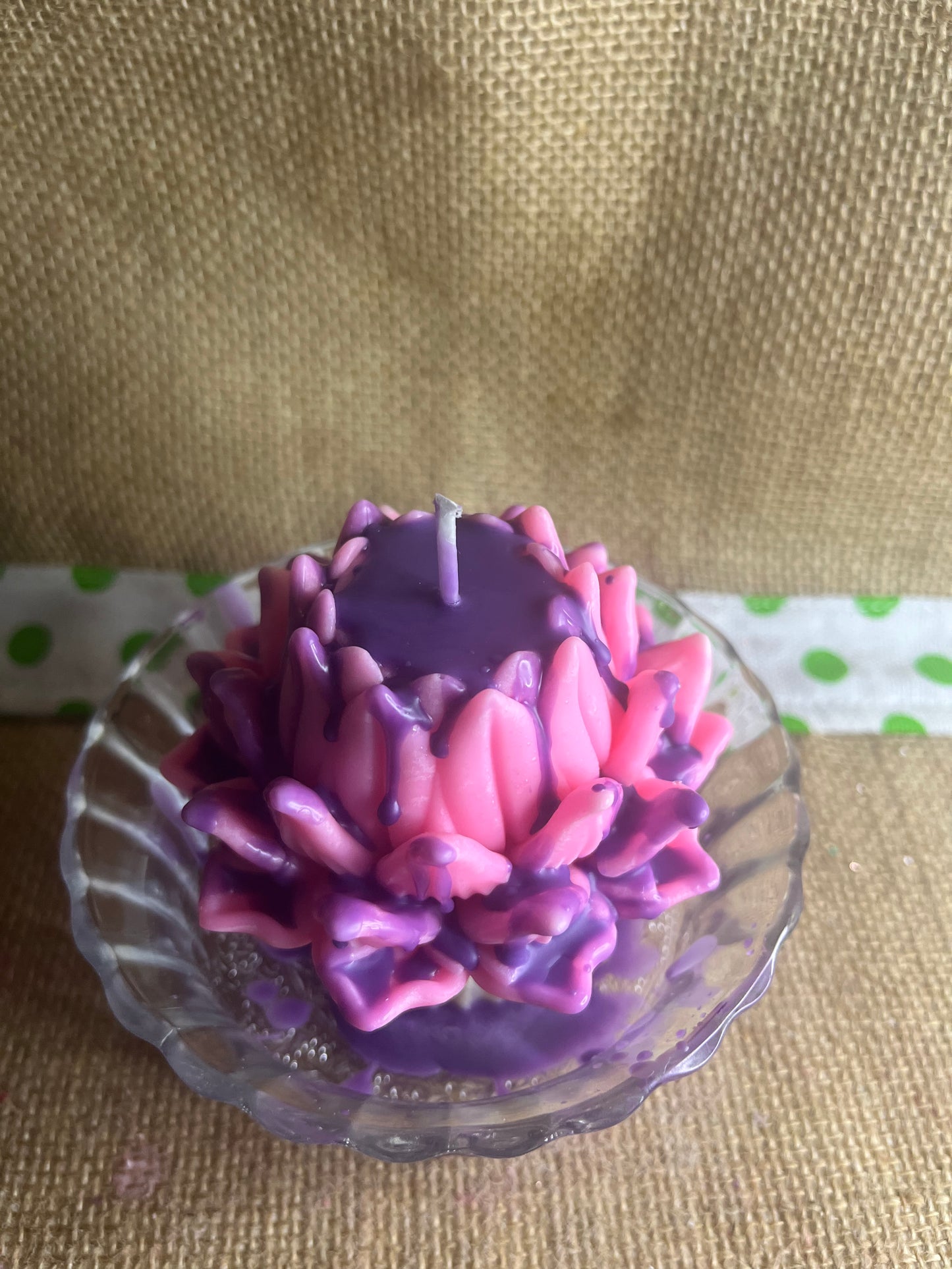 Lotus Cupcake🧁