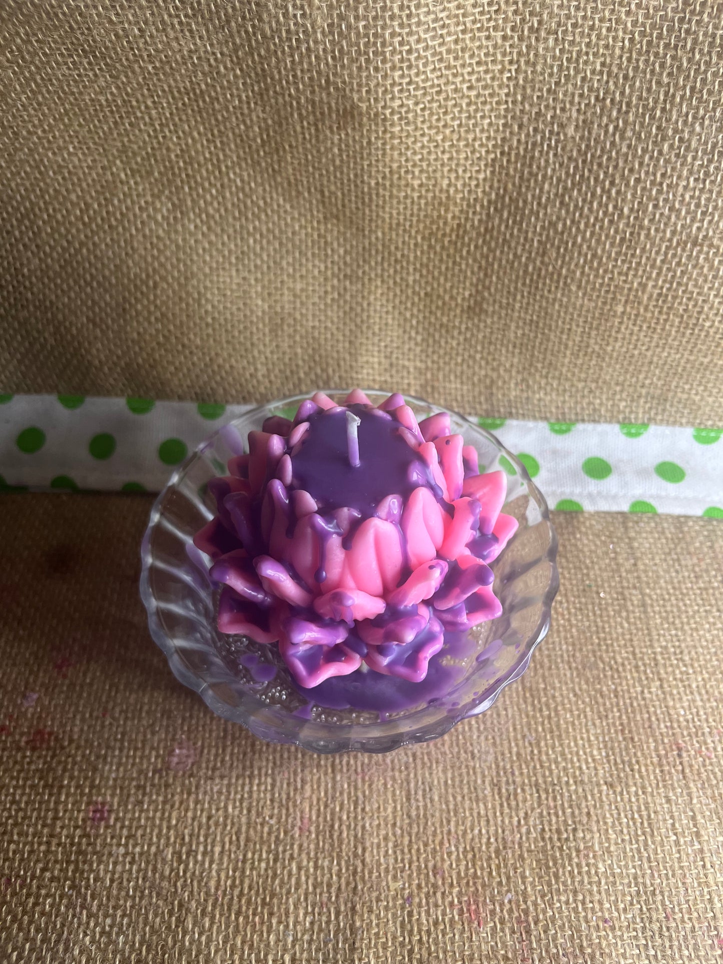 Lotus Cupcake🧁